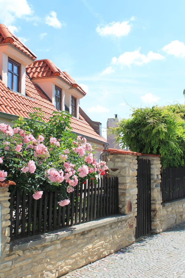 Procházka po Břevnově 9