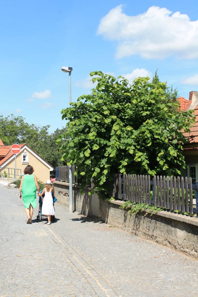 Procházka po Břevnově 10